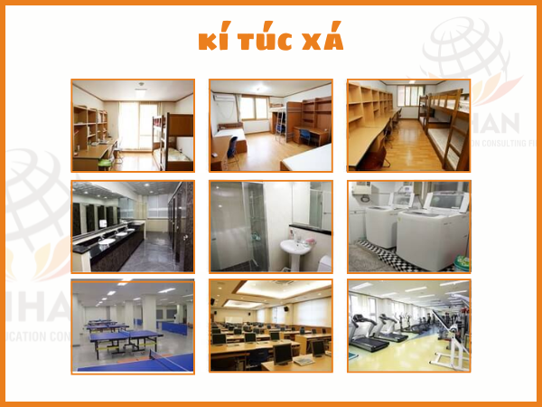 ktx dai hoc keimyung